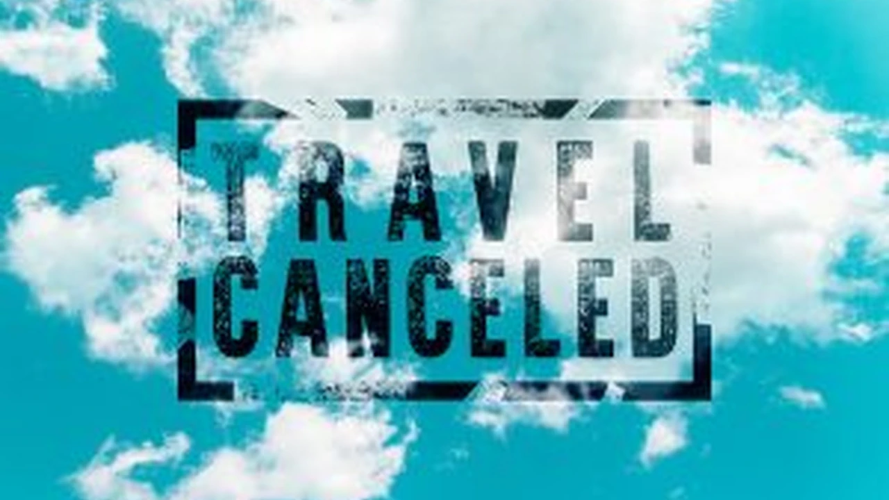 blue bowl of black bean beef tortilla soup on a board with cilantro and shredded cheese in background